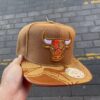 Chicago Bulls Gold